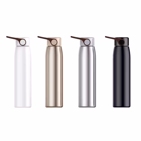 Tasse de voyage en acier inoxydable de 320 ml, flacon à vide (SH